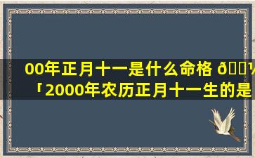 00年正月十一是什么命格 🐼 「2000年农历正月十一生的是什么命」